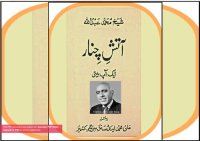 cover of the book آتش چنار: ایک آپ بیتی / Aatish'e Chinar: Aik Aap Beeti