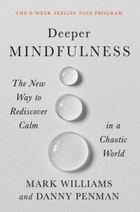 cover of the book Deeper Mindfulness