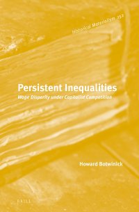 cover of the book Persistent Inequalities: Wage Disparity Under Capitalist Competition