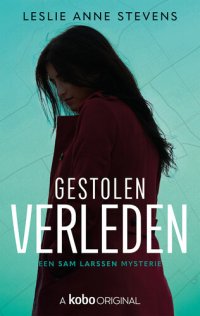 cover of the book Gestolen verleden