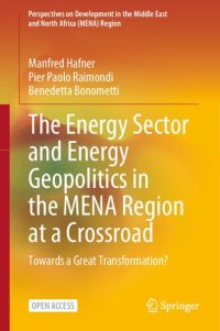 cover of the book The Energy Sector and Energy Geopolitics in the MENA Region at a Crossroad: Towards a Great Transformation? (Perspectives on Development in the Middle East and North Africa (MENA) Region)