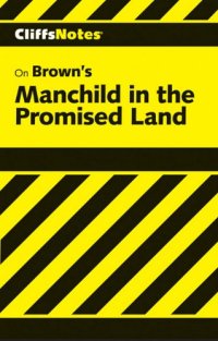 cover of the book Manchild in the Promised Land