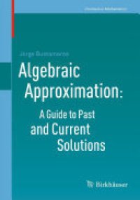 cover of the book Algebraic Approximation: A Guide to Past and Current Solutions