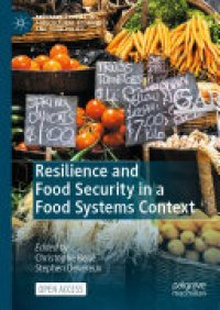 cover of the book Resilience and Food Security in a Food Systems Context