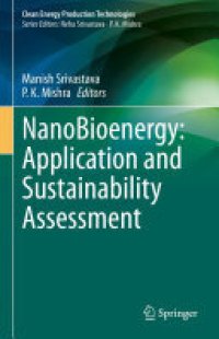 cover of the book NanoBioenergy: Application and Sustainability Assessment