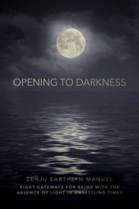 cover of the book Opening to Darkness: Eight Gateways for Being with the Absence of Light in Unsettling Times