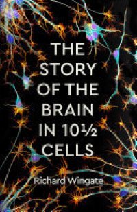 cover of the book The Story of the Brain in 101⁄2 Cells