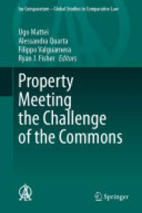 cover of the book Property Meeting the Challenge of the Commons