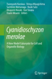 cover of the book Cyanidioschyzon merolae: A New Model Eukaryote for Cell and Organelle Biology