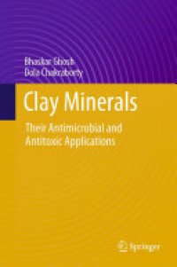 cover of the book Clay Minerals: Their Antimicrobial and Antitoxic Applications