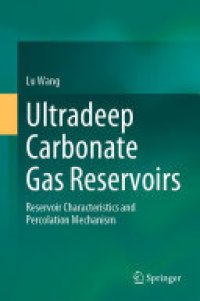 cover of the book Ultradeep Carbonate Gas Reservoirs: Reservoir Characteristics and Percolation Mechanism