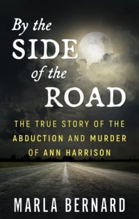 cover of the book By The Side Of The Road