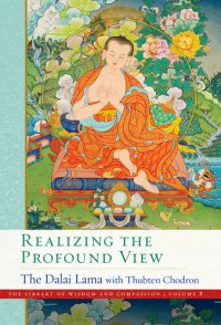 cover of the book Realizing the Profound View