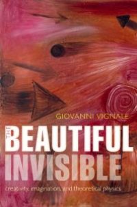 cover of the book The Beautiful Invisible : Creativity, Imagination, and Theoretical Physics