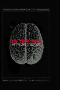 cover of the book Third Reich in the Unconscious : Transgenerational Transmission and It's Consequences