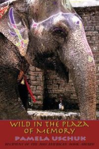 cover of the book Wild in the Plaza of Memory