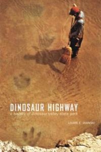 cover of the book Dinosaur Highway : A History of Dinosaur Valley State Park