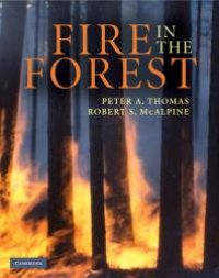 cover of the book Fire in the Forest