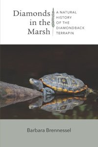 cover of the book Diamonds in the Marsh: A Natural History of the Diamondback Terrapin