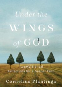 cover of the book Under the Wings of God: Twenty Biblical Reflections for a Deeper Faith