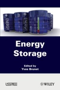 cover of the book Energy Storage