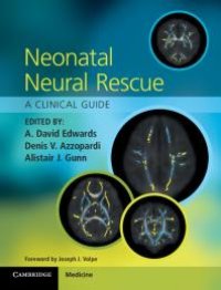 cover of the book Neonatal Neural Rescue : A Clinical Guide