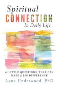 cover of the book Spiritual Connection in Daily Life : Sixteen Little Questions That Can Make a Big Difference