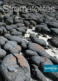 cover of the book Stromatolites