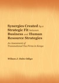 cover of the book Synergies Created by a Strategic Fit between Business and Human Resource Strategies : An Assessment of Transnational Tea Firms in Kenya