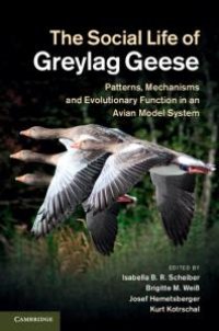 cover of the book The Social Life of Greylag Geese : Patterns, Mechanisms and Evolutionary Function in an Avian Model System