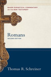 cover of the book Romans