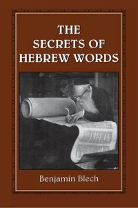 cover of the book The Secrets of Hebrew Words