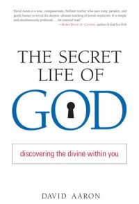 cover of the book The Secret Life of God: Discovering the Divine Within You