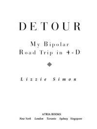 cover of the book Detour: My Bipolar Road Trip in 4-D