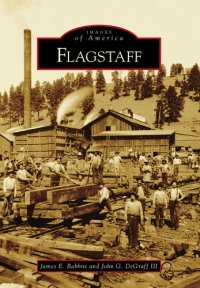 cover of the book Flagstaff