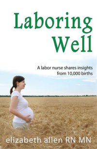 cover of the book Laboring Well, A labor nurse shares insights from 10,000 births