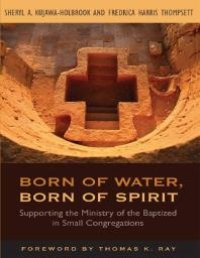 cover of the book Born of Water, Born of Spirit : Supporting the Ministry of the Baptized in Small Congregations