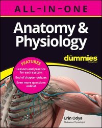 cover of the book Anatomy & Physiology All-in-One For Dummies (+ Chapter Quizzes Online)