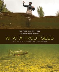 cover of the book What a Trout Sees: A Fly-Fishing Guide to Life Underwater