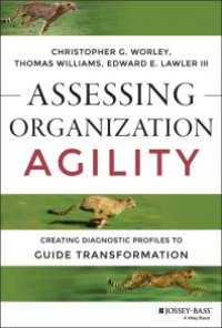 cover of the book Assessing Organization Agility : Creating Diagnostic Profiles to Guide Transformation