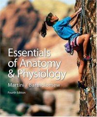 cover of the book Essentials of Anatomy & Physiology