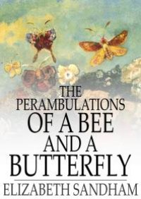 cover of the book The Perambulations of a Bee and a Butterfly : In Which Are Delineated Those Smaller Traits of Character Which Escape the Observation of Larger Spectators