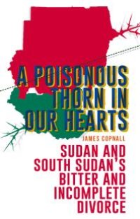 cover of the book A Poisonous Thorn in Our Hearts : Sudan and South Sudan's Bitter and Incomplete Divorce