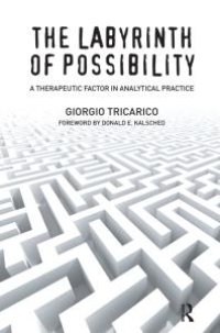 cover of the book The Labyrinth of Possibility : A Therapeutic Factor in Analytical Practice