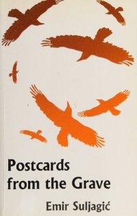 cover of the book Postcards from the Grave