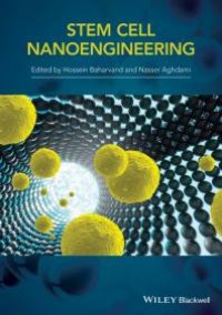 cover of the book Stem-Cell Nanoengineering