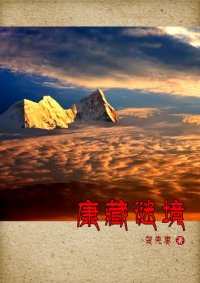 cover of the book 康藏谜境