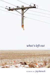 cover of the book What's Left Out