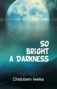 cover of the book So Bright a Darkness