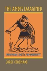 cover of the book The Andes Imagined : Indigenismo, Society, and Modernity